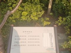 -澹台湖公园