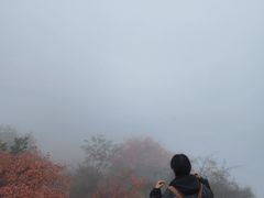 -秦岭风景区