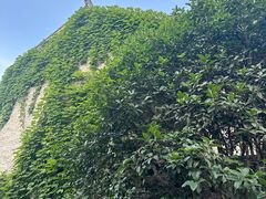 -笑笑凉皮(富国街店)