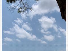 -淇沙湾渔村餐厅