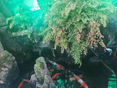 -丽江庭院之爱在路上(西单店)