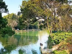 -西溪国家湿地公园