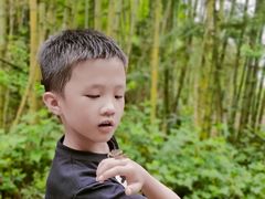 -龙窝子