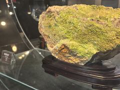 -烟台自然博物馆