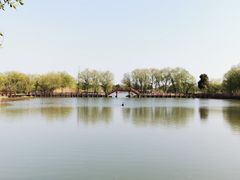 -长兴太湖图影湿地文化园