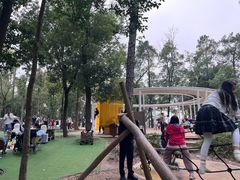 -东湖落雁景区