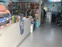 -北京观赏动物医院·24小时大型综合·猫专科·异宠专科