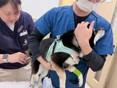-申普宠物医院·眼科·心内科·影像科(普陀分院)