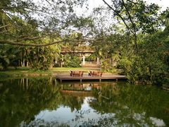 -海南热带野生动植物园