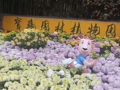 -宝鸡植物园