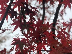 -苏沐堂全息足浴·SPA·按摩(万科美好广场店)