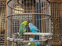 -鱼桥巷·美学川菜