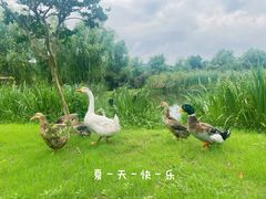 -石塘人家