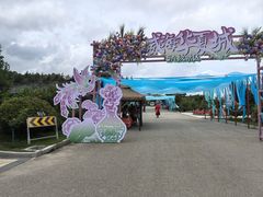 -威海华夏城景区