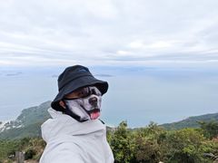-杨梅坑