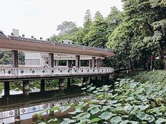 -荔湾湖公园