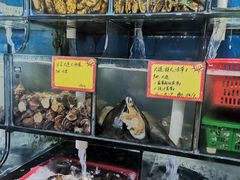 水产区-蚝专家(北滘店)