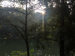 -象山森林公园