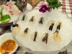 -吉源大排档·鱼生·海鲜(烧烤彩印厂店)