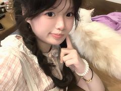 -猫猫幼稚园·撸猫·桌游·电玩