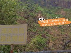 -火炉山森林公园