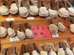 -热带雨林自然公园