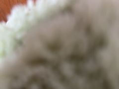 -高望村老王家(南光店)