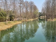 -西溪国家湿地公园