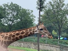 -石家庄市动物园