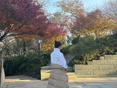 -杭州半山国家森林公园