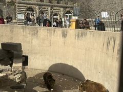 -保定市动物园