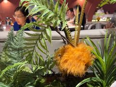 -芸山季·云南野生菌火锅(宝能环球汇店)