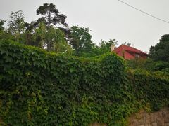 -文化名人故居一条街