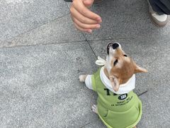 -徐记海鲜(曲江南湖店)