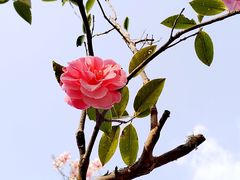 -昆明滇池国家级风景名胜区西山景区