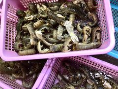 -老字号蛇口德记烧腊饭店·海鲜加工