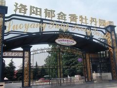 -洛阳郁金香牡丹园