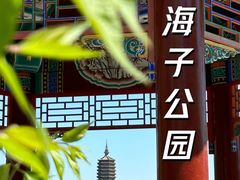 -西海子公园