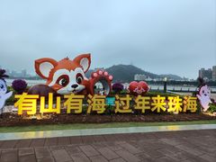 -野狸岛