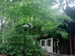 -汇龙潭
