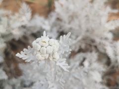 -幕燕滨江·长江观音景区