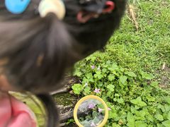 -成都市活水公园