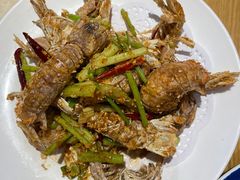 -小海丁