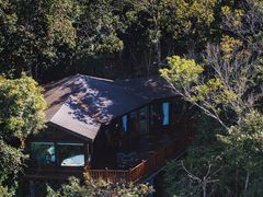 -普洱太阳河森林公园