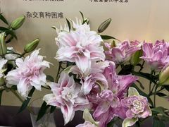 -中国农业博物馆