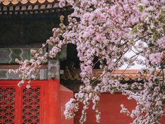 -故宫博物院(故宫)