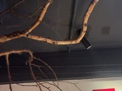 -可口香·非遗老号烧烤(南岗直营店)