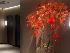 -荷塘秋月·本帮江浙菜(国权路店)