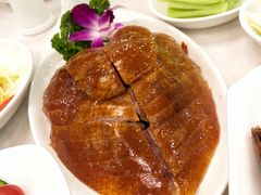 -九花山烤鸭店