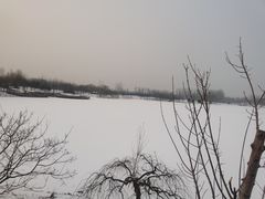 -东郊湿地公园